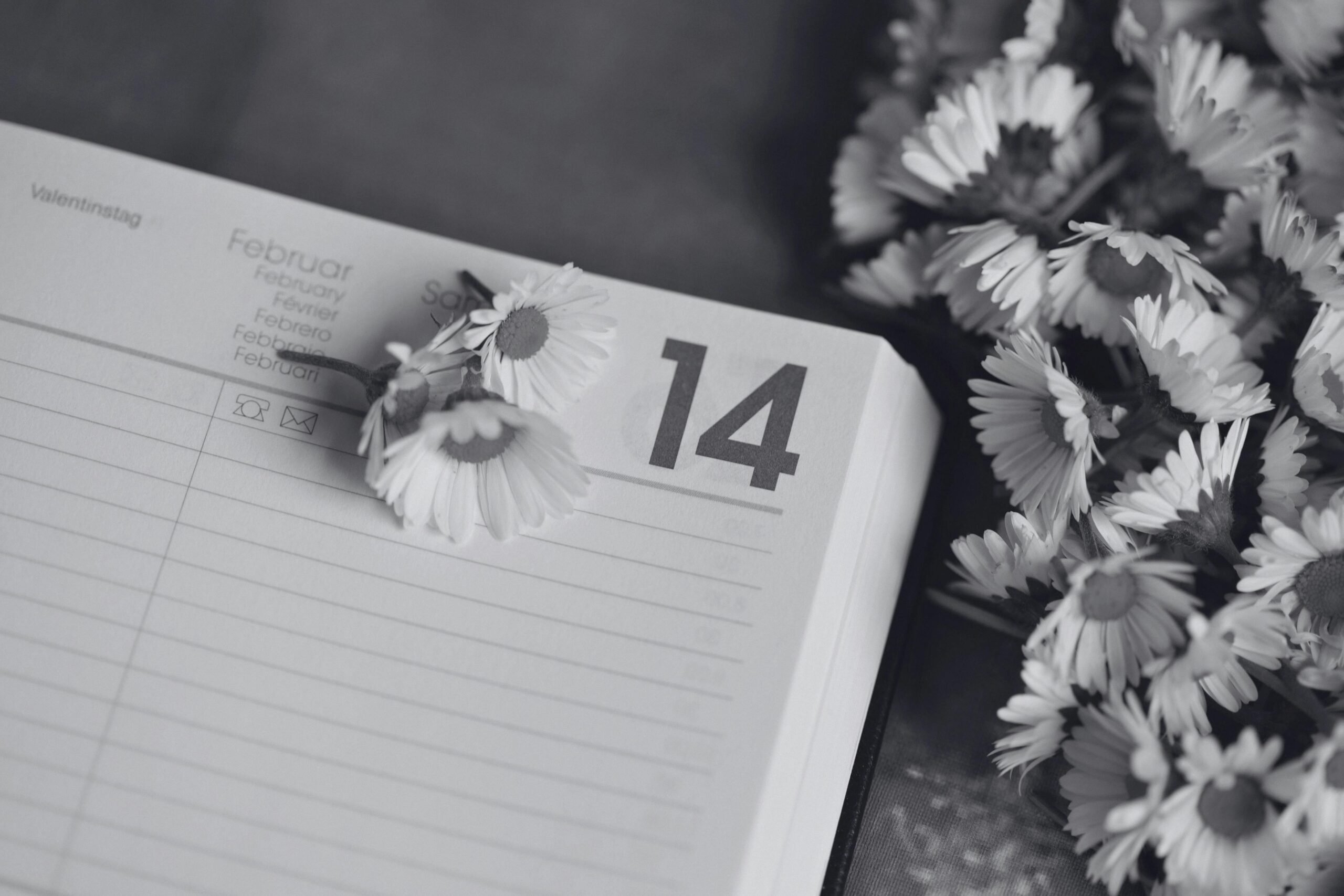 Black and white image of February calendar with daisies for Valentine's Day theme.